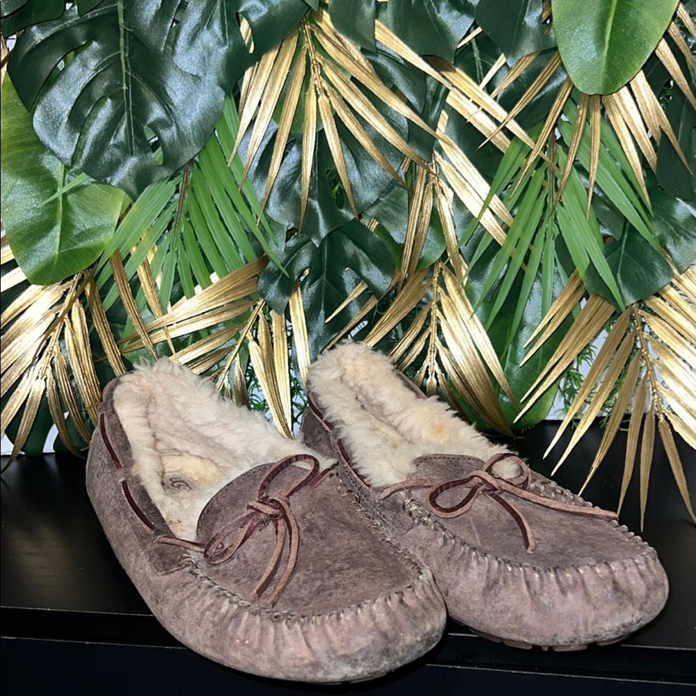 UGG: Brown Suede Moccasin Slippers